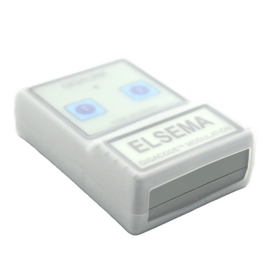 Elsema Gigalink GLT43302 2-button long range remote transmitter inside clear protective silicone case