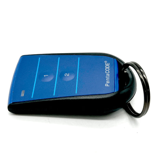 Blue Elsema Remote